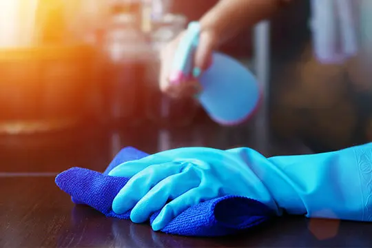 professional cleaning service